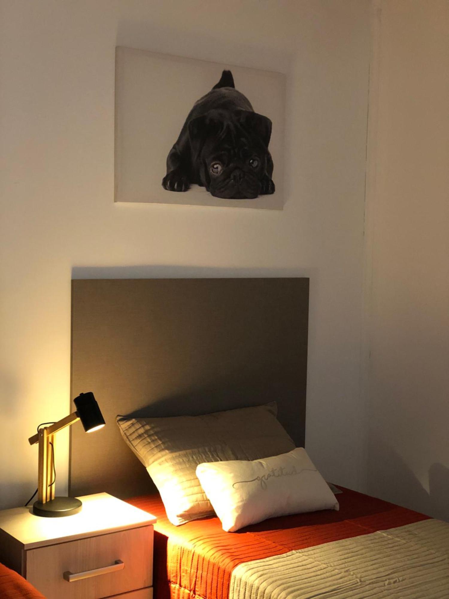 Apartament Mz Intimo Dpto 2 Ushuaia Zewnętrze zdjęcie